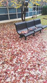 Full frame shot of empty bench