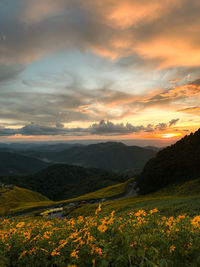 Scenic view of landscape against sky during sunset