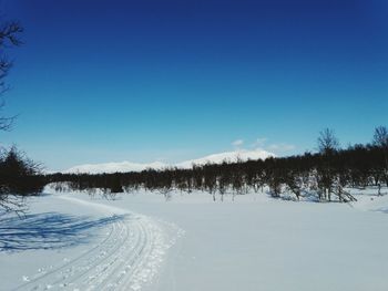 Trees on snow covered landscape against blue sky