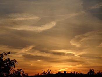 Silhouette of trees at sunset