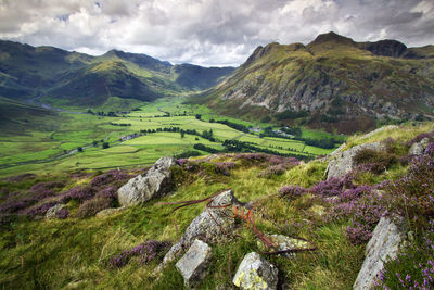 Scenic view of landscape against sky