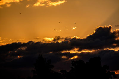Low angle view of silhouette birds flying against dramatic sky