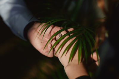 High angle view of couple holding hands below green leaf