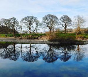 Reflection of bare trees in lake against sky