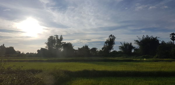 Scenic view of field against sky during sunset