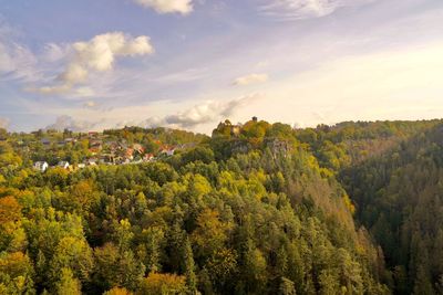 Scenic view of forest against sky during autumn