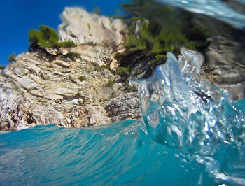 Close-up of turtle in water