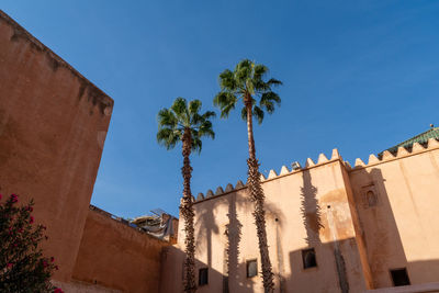 Low angle view of palm trees and buildings against sky