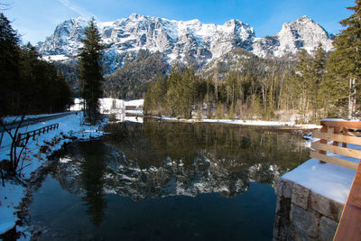 Reflection of trees in lake