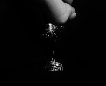 Close-up of hand holding lit candle against black background