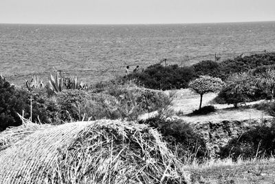 Scenic view of sea against clear sky