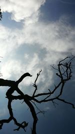 Low angle view of silhouette bare tree against sky