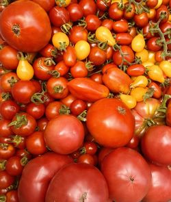 Full frame shot of tomatoes