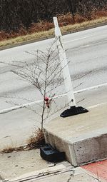 High angle view of bicycle on street