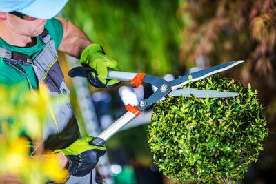 High angle view of gardener trimming topiary at garden