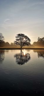 Silhouette tree by lake against sky during sunset