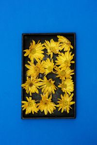 Close-up of yellow flowers against blue background