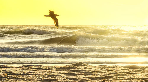 Sunset scene at naples pier in florida.