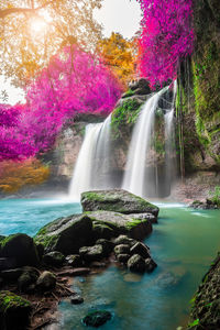 Scenic view of waterfall in forest