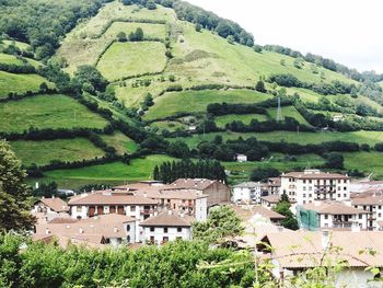 High angle view of houses in village