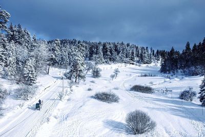 Scenic view of landscape against sky during winter