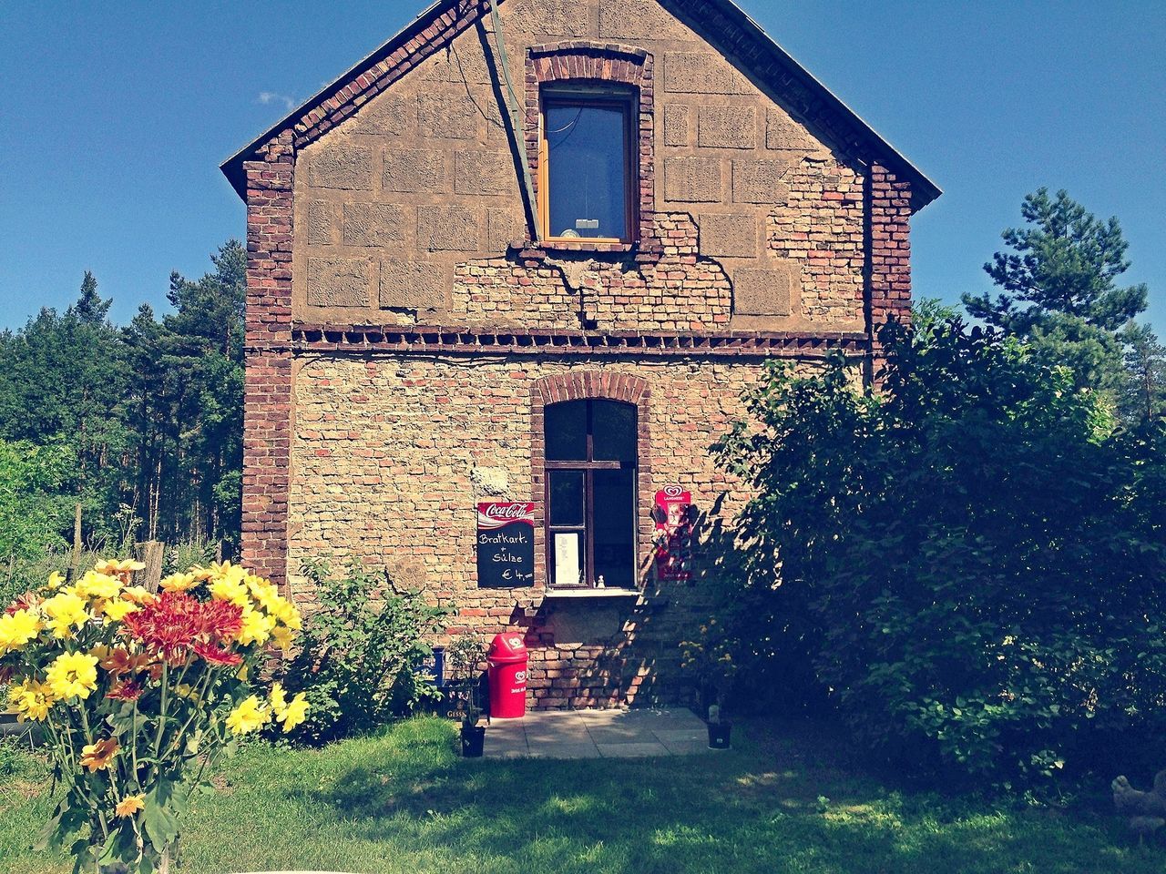 building exterior, architecture, built structure, house, tree, window, low angle view, residential structure, plant, blue, growth, clear sky, day, flower, outdoors, residential building, sunlight, facade, door, building