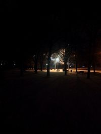 View of illuminated trees at night