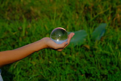 Cropped hand holding crystal ball on grassy land