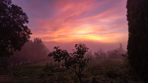 Trees on landscape against sky during sunset