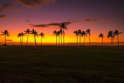 Silhouette palm trees against sky during sunset