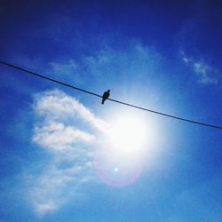 Low angle view of cables against blue sky