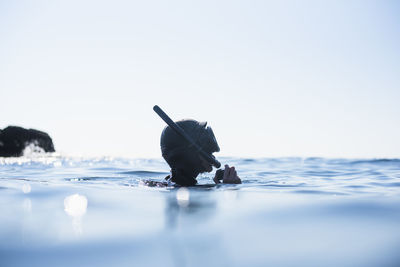 Side view of a bird in water