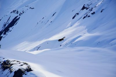 Scenic view of snow covered mountain