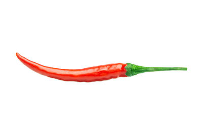 Close-up of red chili pepper against white background