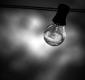 Close-up of plant against blurred background