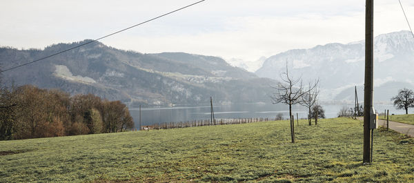 Scenic view of field against sky