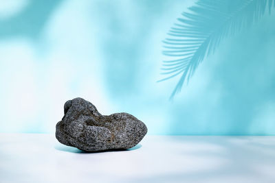 Black volcanic stone on turquoise pastel color background with shadows. minimal creative concept.