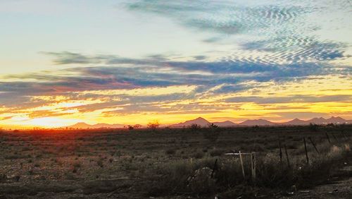Scenic view of landscape at sunset