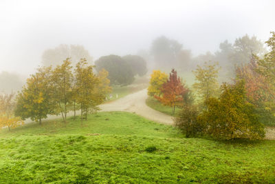 Trees on field against sky during autumn