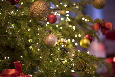 Close-up of christmas tree