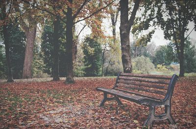 Empty chairs in park during autumn