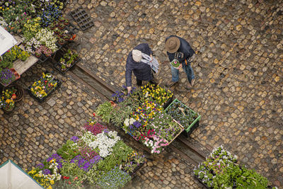 High angle view of people standing by flowering plants
