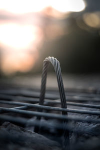 Close-up of rope on water