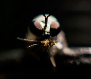 Close-up of blurred lights at night