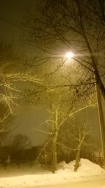 Bare trees on snow covered landscape