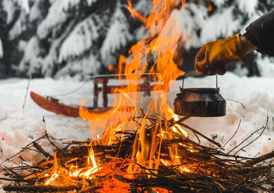 Bonfire on wooden log in winter