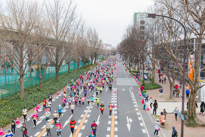 Nagoya women's marathon 2016. women's with more than 3,000 people running in the downtown. 