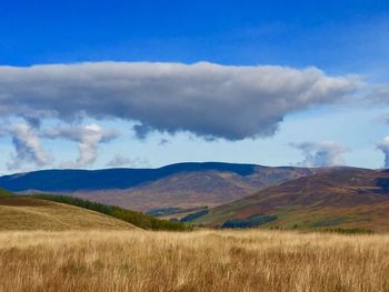 Scenic view of grassy landscape against cloudy sky