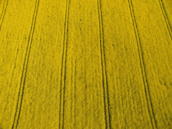 Full frame shot of agricultural field