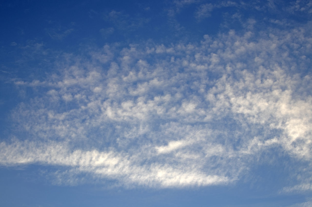 LOW ANGLE VIEW OF SKY